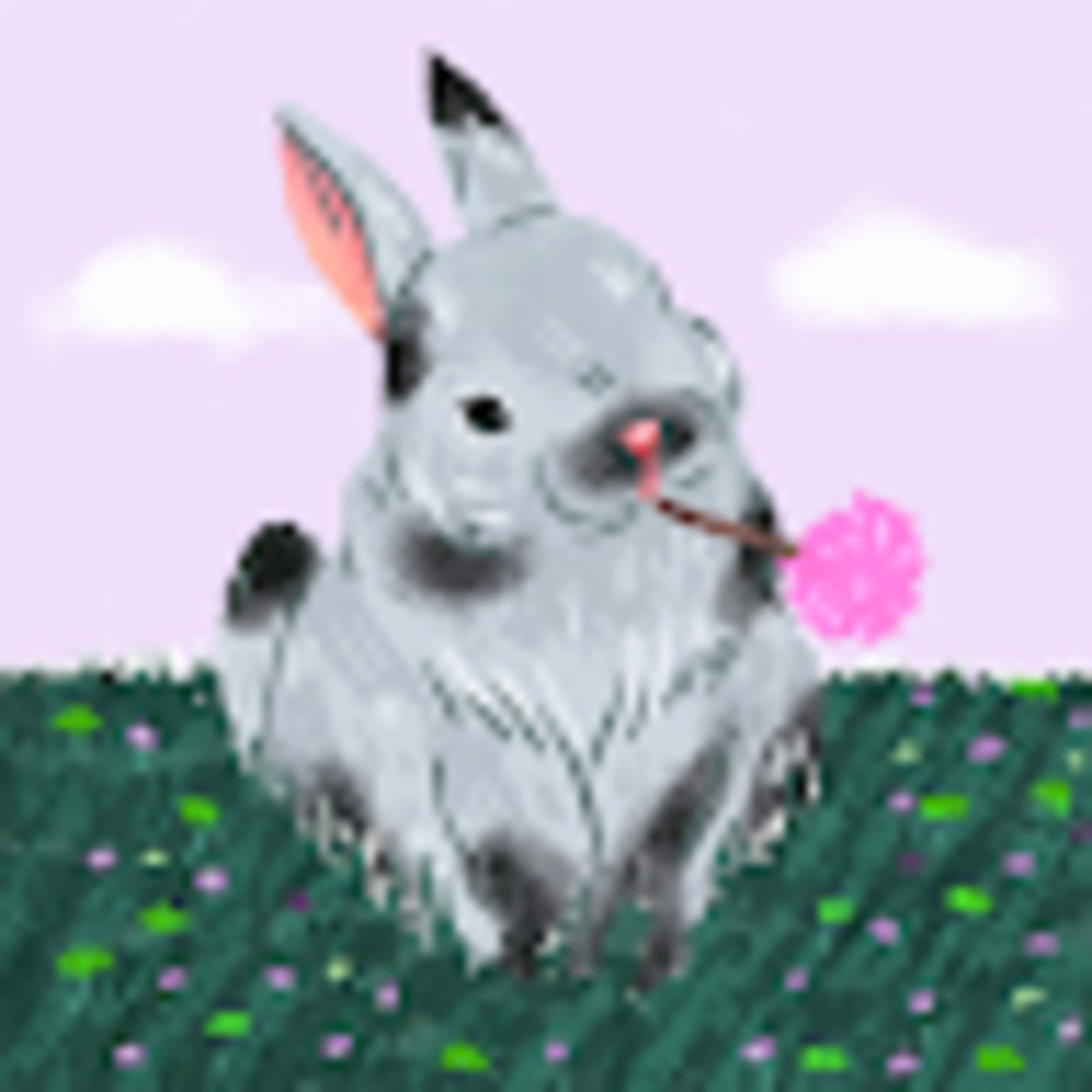 Meet your Posher, Rachel